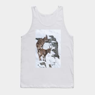 Ibex On Snow Covered Hill Tank Top